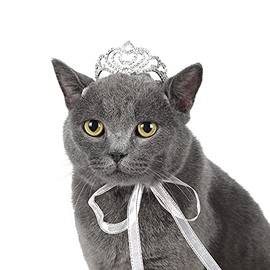 Lovelyshop Pet Series Classic Petal Rhinestone Dog/Cat Tiara Crown for Costume Mini Dog Hair Accessories