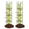 Joyhalo 2 Pack Tomato Cage for Garden, Up to 59