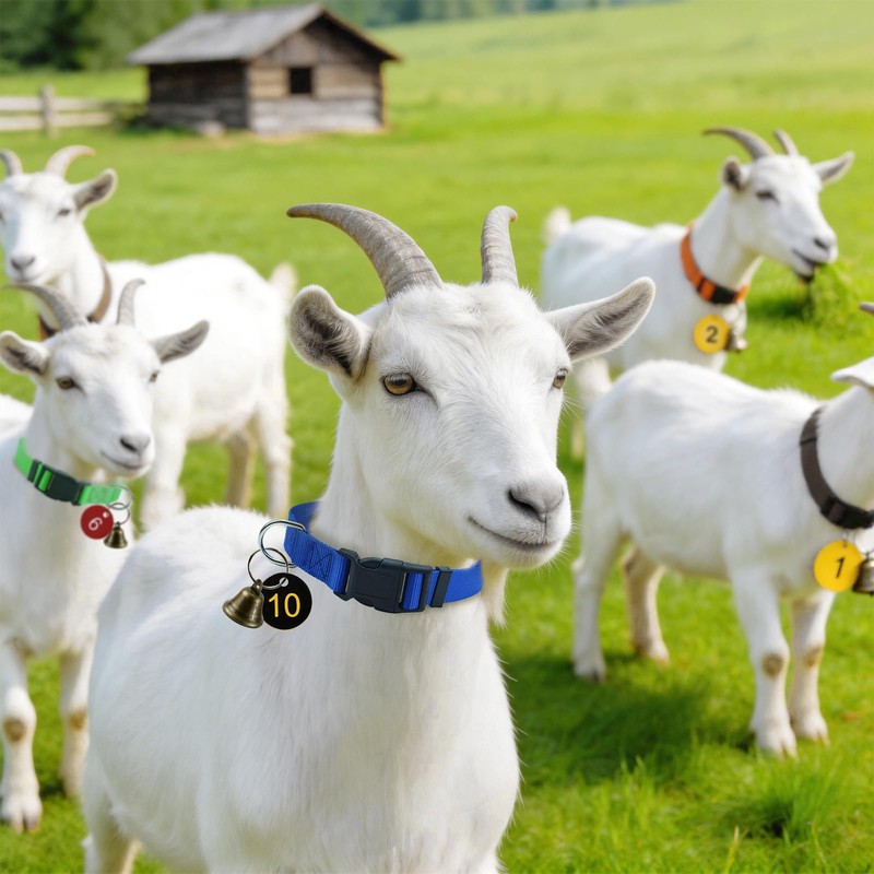 12 Pack Adjustable Goat Collars with Bells Numbered Tags