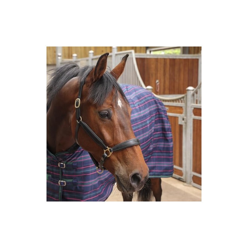 Shires Tempest Plus 100 Stable Rug - Navy Tartan 6ft6