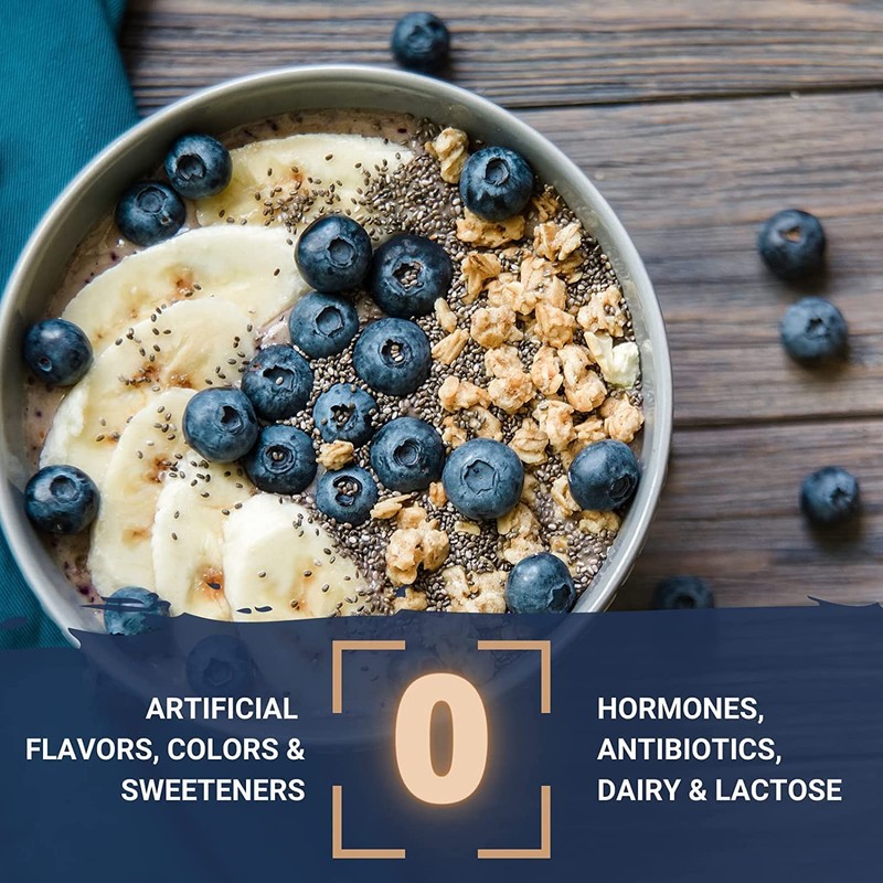 Gaspari Nutrition Proven Egg, 100% Egg White Protein, 25g Protein,