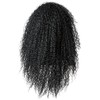 Freetress Equal Drawstring Fullcap Half Wig Milan Girl - 1B