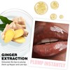BEUKING Lip Plumping Lipstick, Booster Mirror Lip Gloss with Ginger