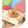 Niteangel Hamster Snack & Treats Toy: - Small Animal Natural