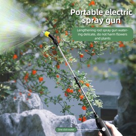 Stainless Steel Water Hose Sprayer Wand Spray Adjustable Electric Handheld Retractable 23 Inch Watering Sprayer Wand with 32.8 Feet Hose, 2 Nozzle, Filter Net and 11L Bucket