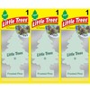 Little Trees Air Freshener Tree LTZ088 Frosted Pine Fragrance For