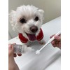 Mindup Dog Toothbrush, Cylinder Head, 360 Degree Brush, No Angle