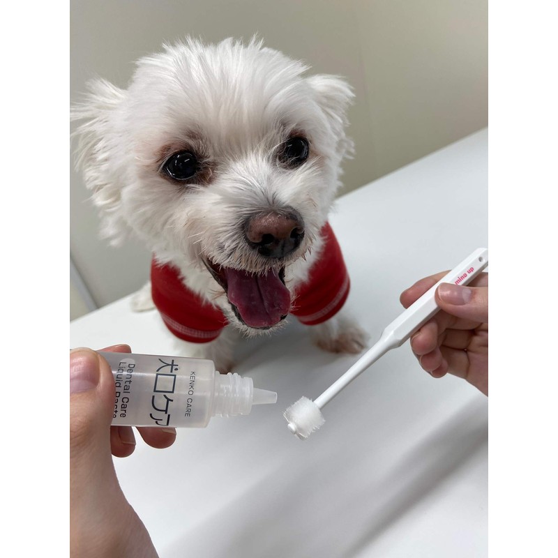 Mindup Dog Toothbrush, Cylinder Head, 360 Degree Brush, No Angle