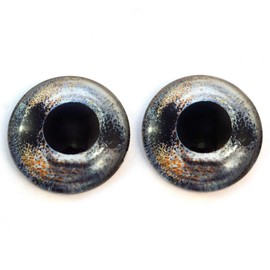 Realistic Barbus Fish Glass Eyes Animal Pair for Art Doll Parts, Sculpture, Prop, Mask, Fursuit Supplies, Jewelry Making Cabochons, Taxidermy, Fishing Lures, and More (10mm)