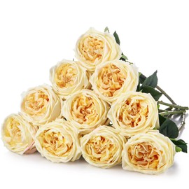 Daifunli 10pcs Real Touch Peonies Artificial Flowers, Faux Austin Rose with Long Stem Look Real Fake Flower for Christmas Valentines Arrangement Wedding Party Home Kitchen Decor(Champagne)