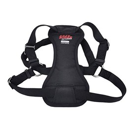 Coastal - Easy Rider - Adjustable Dog Car Harness, Black, SML (16"-24")