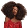 Janet Collection Braids Nala Tress 2X Afro Kinky Bulk 48"