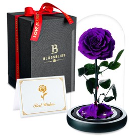 BLOSSBLISS 9" Large Purple Rose Preserved Flowers in Glass Dome, Forever Preserved Rose Gift for Her, Him, Wife, Mom, Grandma, Eternal Flowers for Christmas, Valentine's Day, Mothers Day, Birthday