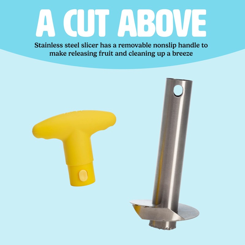 Tasty Pineapple Slicer, Stainless Steel with Non-Slip Handle, Cores &