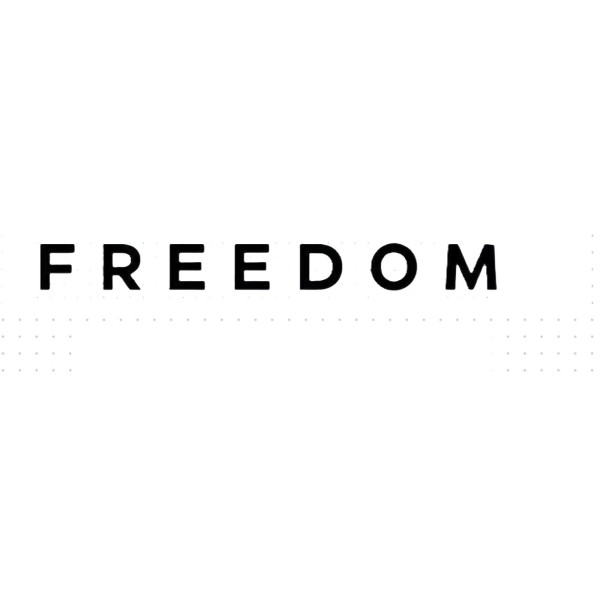 FREEDOM Vinyl Decal Sticker - Die Cut weatherproof - Charlie
