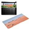 Aquarium Poster PVC Self Adhesive Waterproof 3D Desert Style Fish