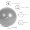 Yoga Studio Exercise Fitness Stability Gym Yoga Pilates Balls (10"