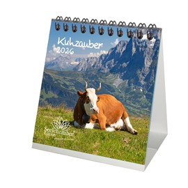 Cow Magic Desk Calendar 10 cm x 10 cm for 2026 Cows Beef Veal Gift Set Contents: 1 x Calendar, 1 x Christmas Pendant (Total 2 Pieces)