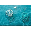 Evriholder DrainWig Shower Drain Protectors, As Seen on Shark Tank,
