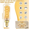 BLINGCOLOR Dimmable E12 LED Edison Candelabra Bulbs 40 Watt Equivalent,