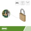 AMIG 2 Double Locking Padlock 40 mm