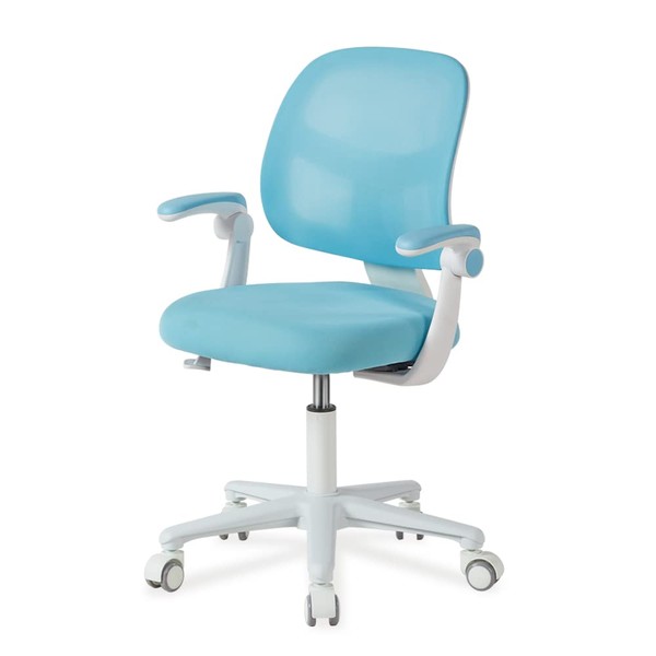 DIOSHOME Kids Desk Chair, Height Adjustable Chair, Ergonomic Chair, Kids Office Chair, Kids Computer Chair.Breathable mesh and high Rebound Sponge Material.Suitable for Families, Schools, and Offices