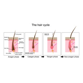 Professional Cosmetics Placentinol Hair Loss Prevention Lotion Hair Growth Treatment - 12 Ampoules of 10ml - 120ml