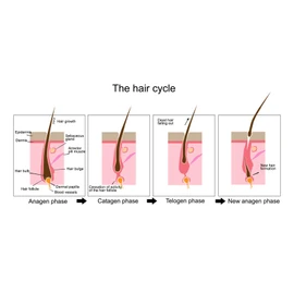 Professional Cosmetics Placentinol Hair Loss Prevention Lotion Hair Growth Treatment - 12 Ampoules of 10ml - 120ml