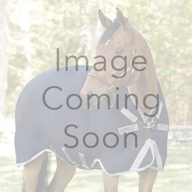 Dover Saddlery Flash Noseband, COB-C/S, Black/Black