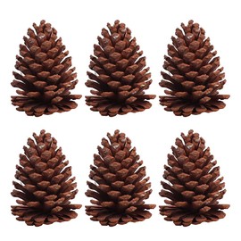 SOLUSTRE 6pcs Pine Cones Craft Pine Cones Natural Cones Black Pine Christmas Tree Cones Christmas Decoration Autumn Decoration for DIY Craft Ornament Decoration