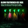 CWSDXM 15PCS Ice Fishing Jigs Glow-in-The-Dark Ice Fishing Set with