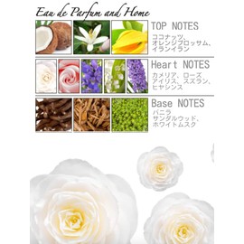 Dr. Taffi Acqua di Bolgheri La Camelia Fluid Body Lotion 300 ml