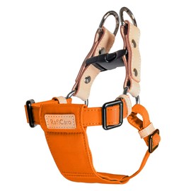 Raficaro Harness, For Small Dogs, Medium Dogs, Dog Harness, Stylish, Dog Harness, Lightweight, Easy to Wear, Popular, Durable, Collar, Lead, Easy to Put on and Take Off, Orange