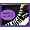 Plum Rose Removable Piano Keyboard Note Labels - Piano Keyboard