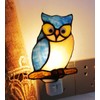 HUIMIEJU Colored Glass Owl Night Light, Children's Room Animal Night