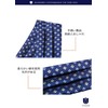 HISDERN Men's RC-01 Silk Ascot Tie, Neckerchief Scarf, Fashion Paisley