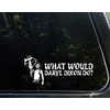 Titoland Diamond Graphics What Would Daryl D. Do? (9" x
