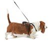 Pets Go 2 Dog Safety Harness For Walking & Car