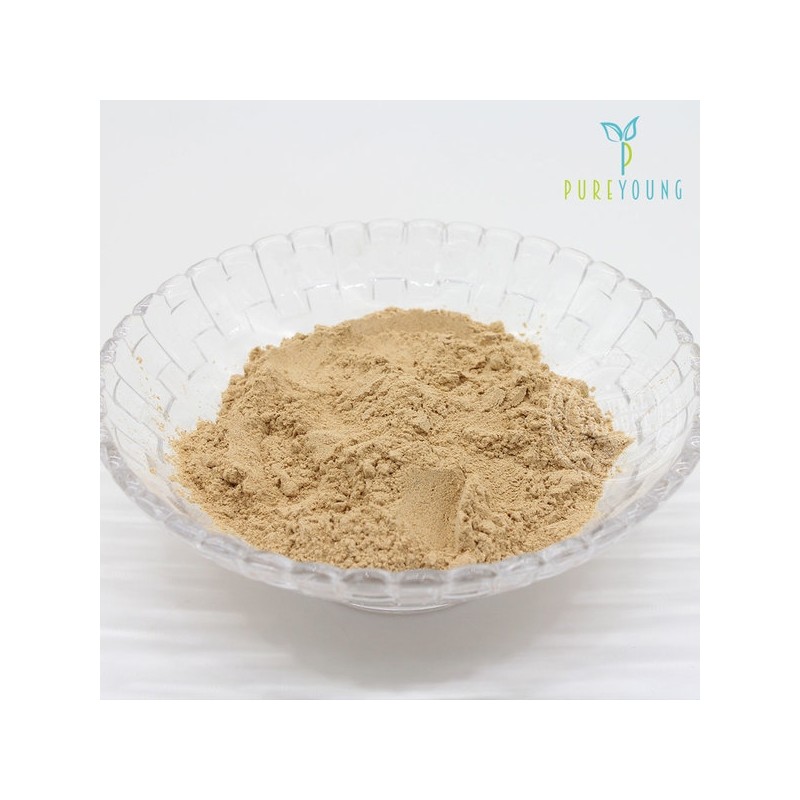 Pure Young Domestic Roasted Macmundong Powder 300g+300g / 퓨어영 국내산