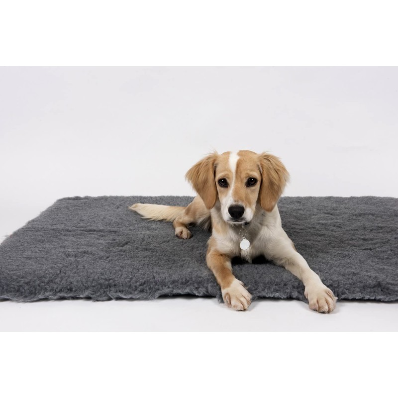 Vet Fleece Bedding | Vet Bed Original Greenback | Puppys