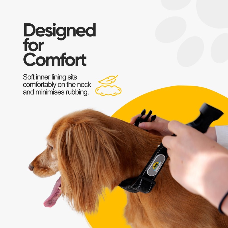 Dawn Dog Collar Small - Reflective, Soft & Padded Breathable