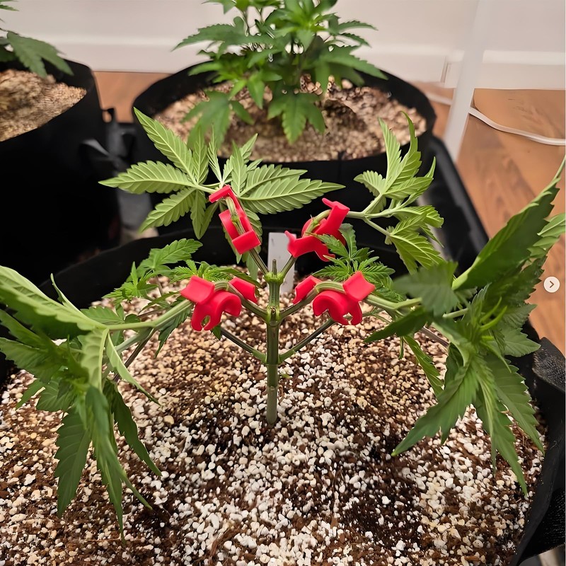 EUDUQ Pack of 120 plant benders, 90 degree plant training