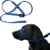 Gencon - Medium Size Anti Pull Dog Headcollar - Trainer