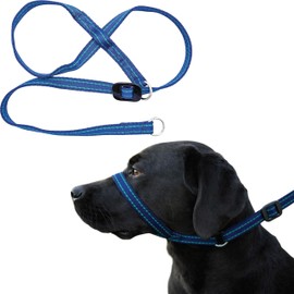 Gencon - Medium Size Anti Pull Dog Headcollar - Trainer Approved - Soft & Gentle Control - Practical Dog Training & Behaviour Aid - Left Hand - UK Made - Doesn't Include Lead - Navy/Jade