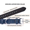 TORRUNA Soft Leather Dog Collar | Dog Collars for Small,