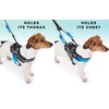 ACARAPETS Dog Harness and Leash - Padded Breathable 3 Ring