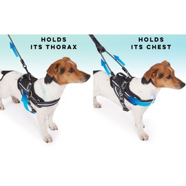 ACARAPETS Dog Harness and Leash - Padded Breathable 3 Ring Harness with Elastic Reflective Adjustable Bifida Leash for Walking and Running (Black, XL with Leash)