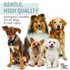 Hartz Groomer's Best Professionals 6-in-1 Dog Shampoo and Conditioner in
