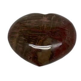 WatanGems 0.36 lbs, 2.3"x2.6"x1.2" Natural Petrified Wood Heart Shape Healing Crystal, Reiki Energy Polished from Madagascar, B37396