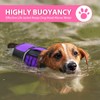 Queenmore Small Dog Life Jacket, Adjustable Pet Life Vest for